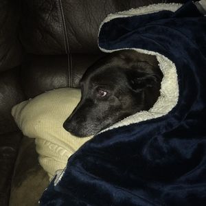 Meet your Posher, Lisa